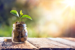retirement saving growing stock image